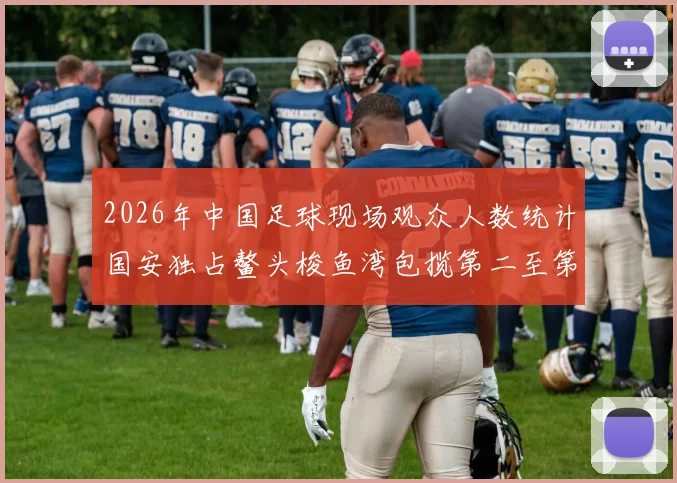 2026年中国足球现场观众人数统计国安独占鳌头梭鱼湾包揽第二至第七位