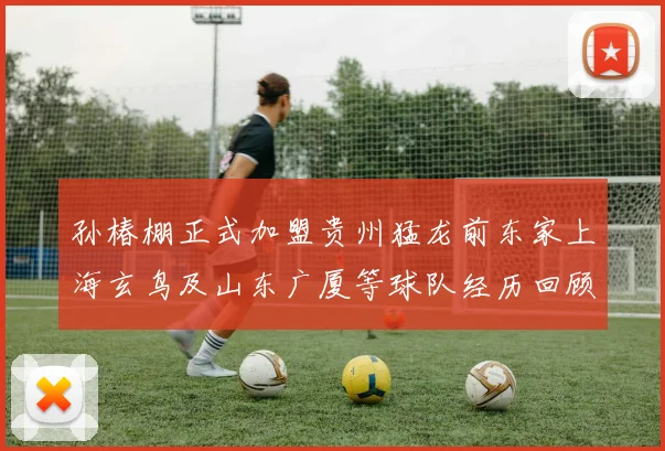 孙椿棚正式加盟贵州猛龙前东家上海玄鸟及山东广厦等球队经历回顾